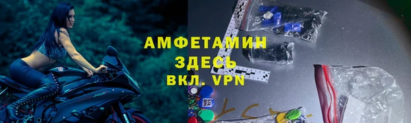 СК Алексин