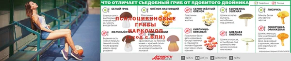 прущая мука Россошь