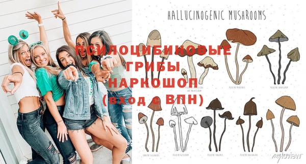 Альфа ПВП Алексеевка
