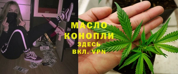 СК Алексин