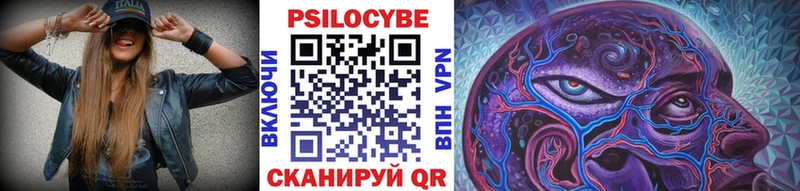Галлюциногенные грибы мицелий  Гаврилов Посад 