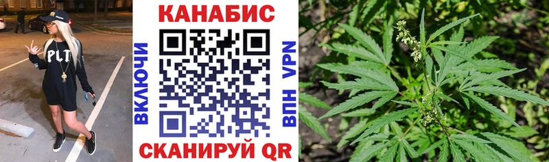 МАРИХУАНА гибрид Гаврилов Посад