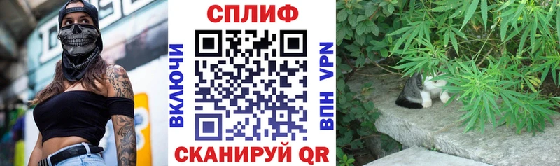 Каннабис White Widow  Гаврилов Посад 
